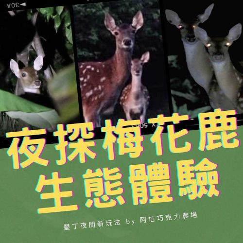 【墾丁】阿信巧克力農場夜探梅花鹿活動券